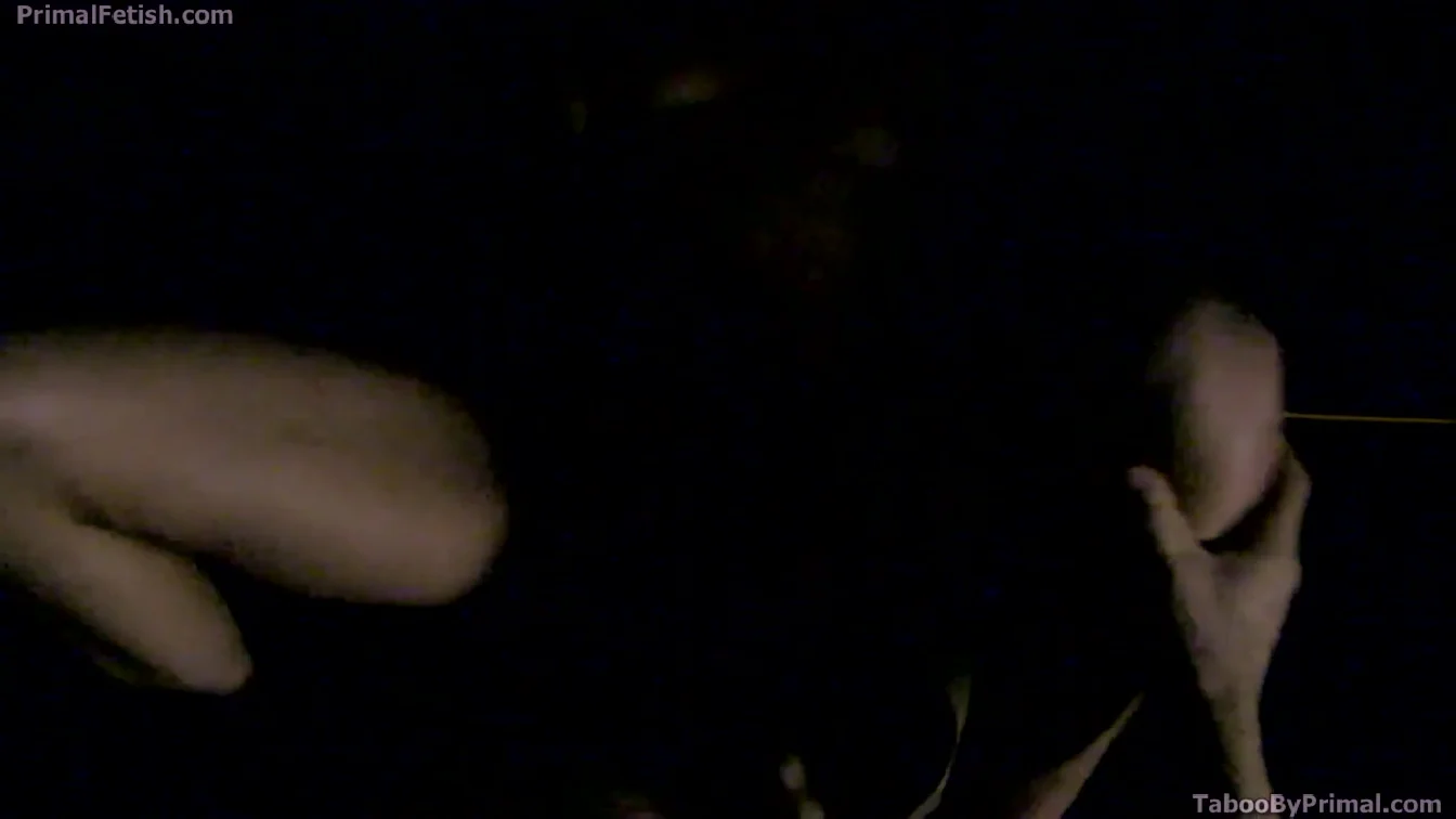 PrimalFetish Aidra Fox And Michael Masters XXX